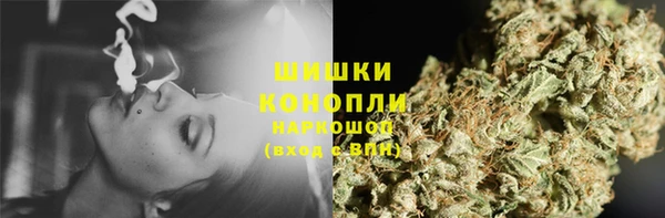 хмурый Аркадак