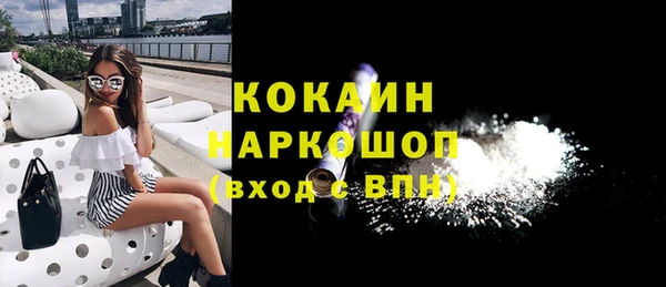хмурый Аркадак