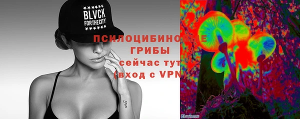 шишки Армянск