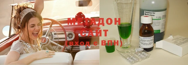хмурый Аркадак