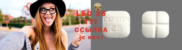 шишки Армянск