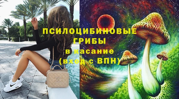 хмурый Аркадак