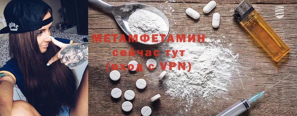 хмурый Аркадак