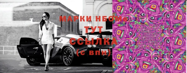 хмурый Аркадак