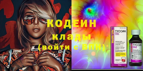 хмурый Аркадак