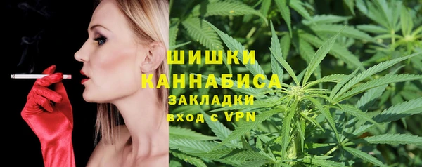шишки Армянск