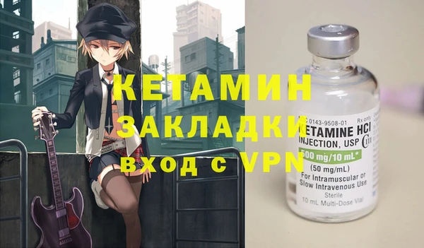 хмурый Аркадак